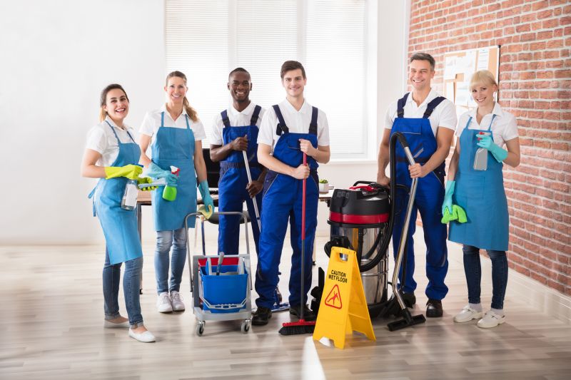 Professional Cleaning Teams